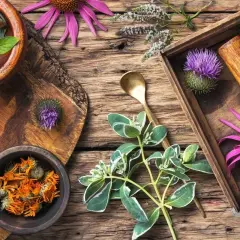 Örter och blommor som echinacea, tistel och ringblommor för candida kost. En mortel och sked antyder beredning.