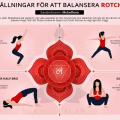 Yogaövningar för rotchakrat, som visar hur fungerar jordning genom positioner som Krigare II.
