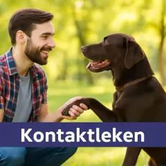 Man och hund ler mot varandra i parken, en bild som symboliserar hund yoga och en stark relation.