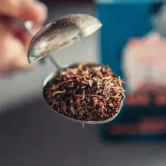 En tesil fylld med Yogi Tea Rooibos, redo att bryggas.