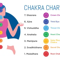 En illustration visar en person i meditationsställning med sju färgade chakrasymboler längs ryggraden. En guide för chakra meditation svenska.
