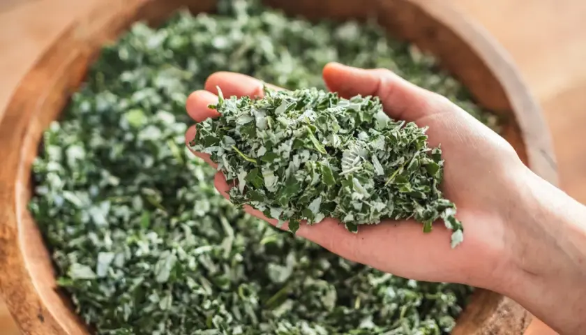 En hand håller torkade örter, redo att bryggas till ett värmande tulsi te.
