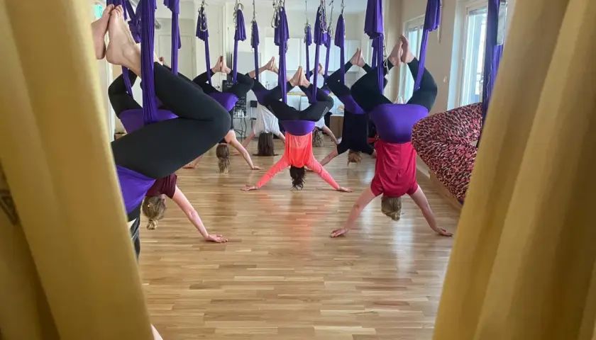 Grupp som utövar flying yoga, hängandes upp och ner i lila tyger.