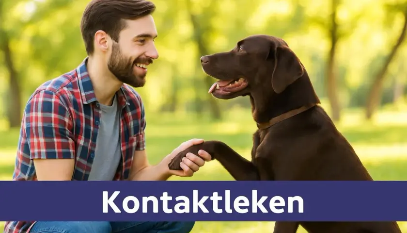Man och hund ler mot varandra i parken, en bild som symboliserar hund yoga och en stark relation.