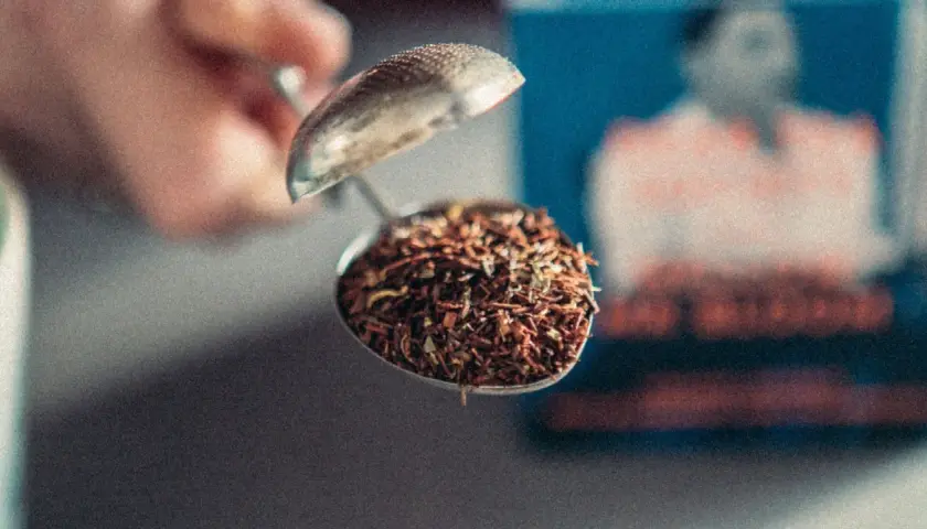 En tesil fylld med Yogi Tea Rooibos, redo att bryggas.