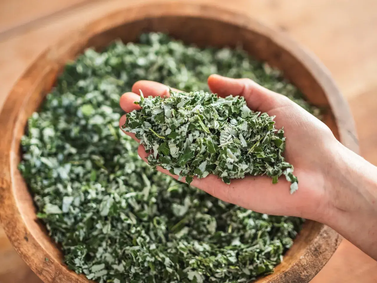 En hand håller torkade örter, redo att bryggas till ett värmande tulsi te.