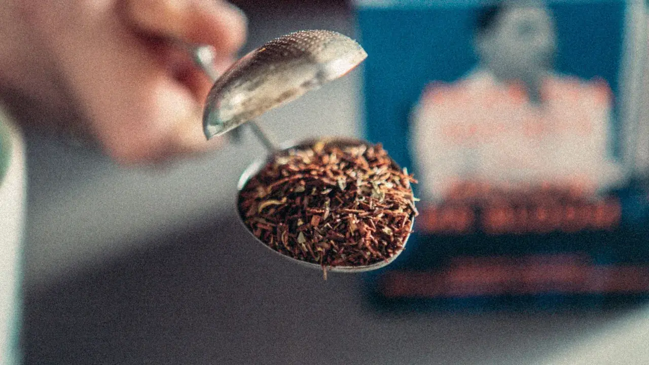 En tesil fylld med Yogi Tea Rooibos, redo att bryggas.