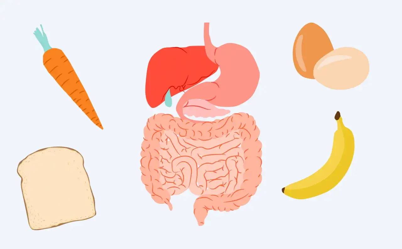 Illustration av mat som morot, br&ouml;d, &auml;gg och banan runt en mage och tarmar, som kan associeras med leaky gut svenska.