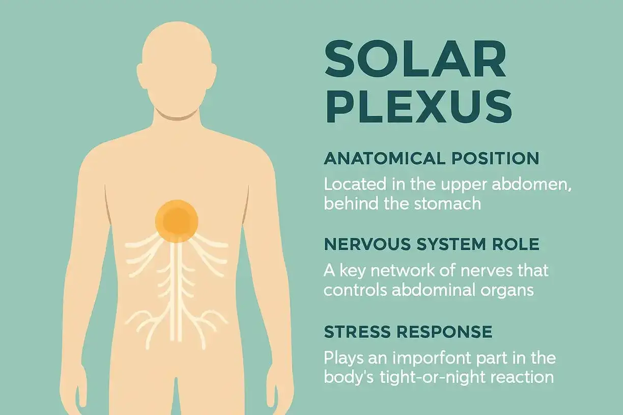 Illustration av m&auml;nniskokroppen med solar plexus markerad som ett orange klot i magen, omgivet av nervtr&aring;dar.