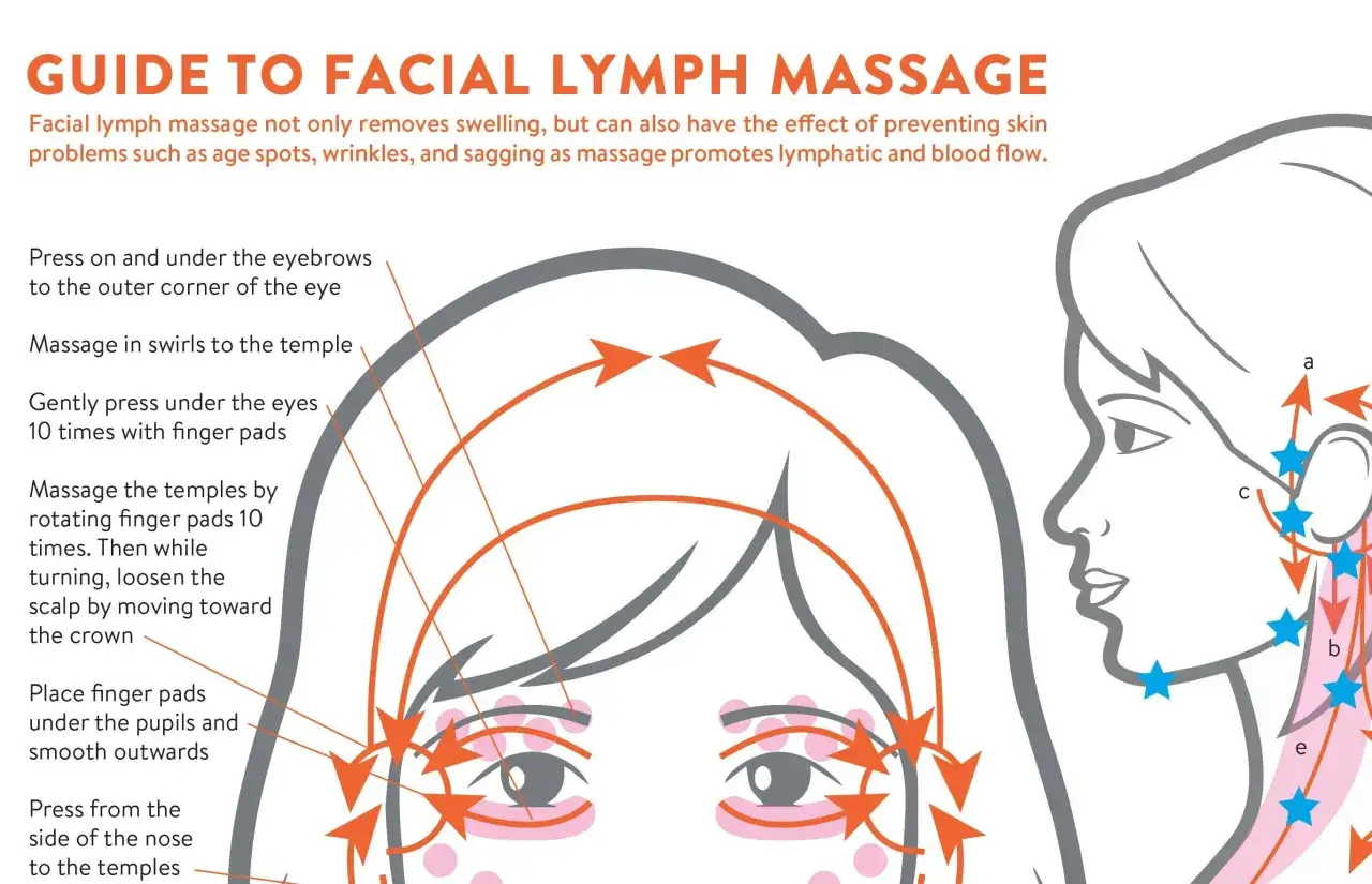 Guide till ansiktets lymfsystem. Illustration visar ansiktsmassage f&ouml;r att stimulera lymfsystemet och f&ouml;rb&auml;ttra blodfl&ouml;det.