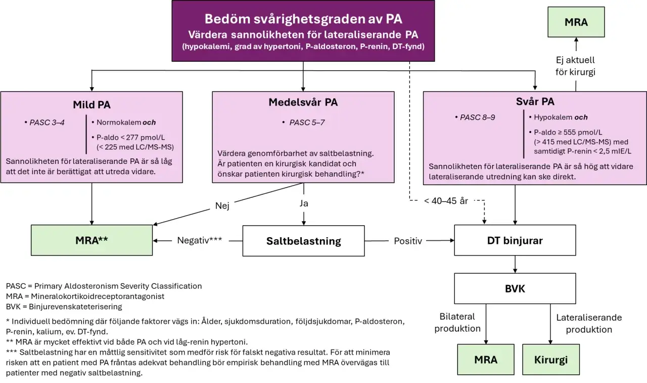 Flödesschema för bedömning av primär aldosteronism (PA) och dess symptom, inklusive binjurar.