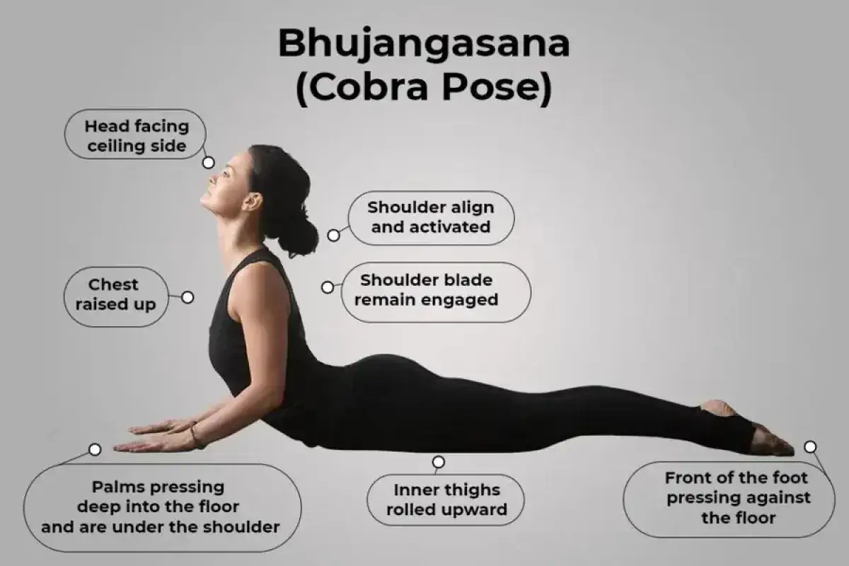 Kvinna utf&ouml;r cobra yoga (Bhujangasana). Kroppen &auml;r str&auml;ckt p&aring; golvet, br&ouml;stet lyft, huvudet bak&aring;tb&ouml;jt. Detaljer om korrekt utf&ouml;rande visas.