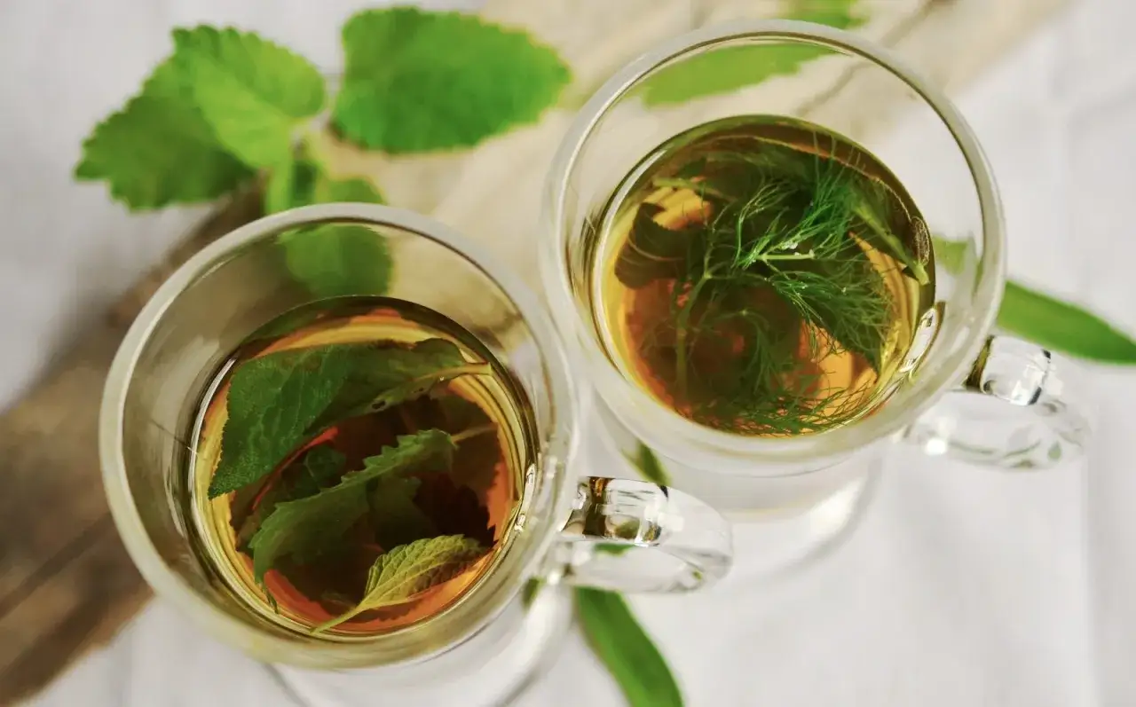 Tv&aring; glas med &ouml;rtte, ett med mynta och ett med dill. Uppt&auml;ck salvia egenskaper i detta lugnande te.
