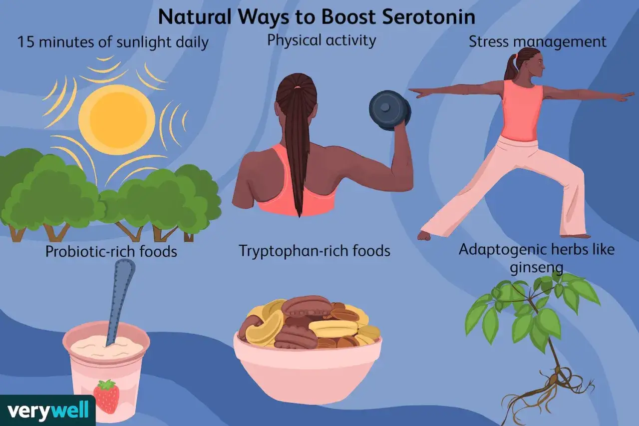 Naturliga s&auml;tt att &ouml;ka serotonin: solljus, tr&auml;ning, stresshantering, probiotika, tryptofanrik mat och ginseng. S&aring; h&auml;r f&aring;r man serotonin.